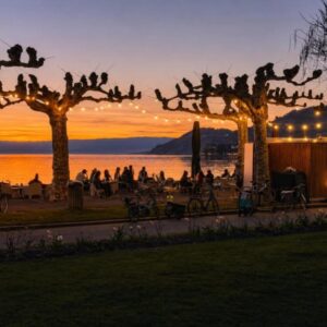 Coucher de soleil sous les platanes du quai du Roussy