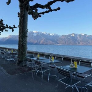 Terrasse de La Boélande face au lac Léman et aux Alpes